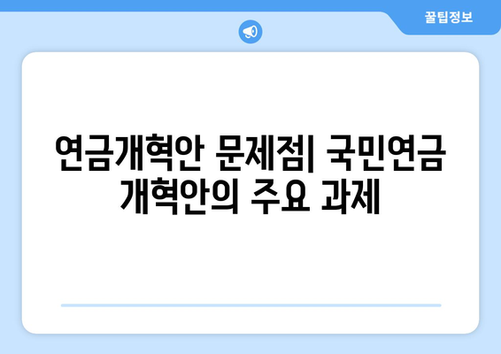 연금개혁안 문제점: 국민연금 개혁안의 주요 과제