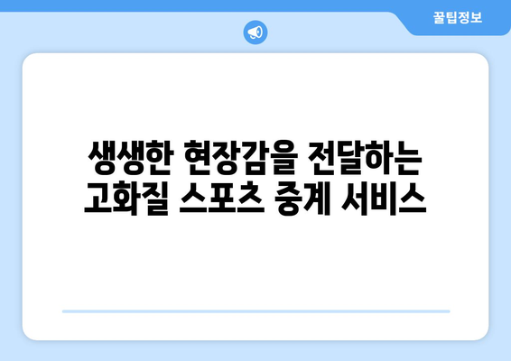 고화질로 보는 스포츠 실시간 중계 서비스 추천