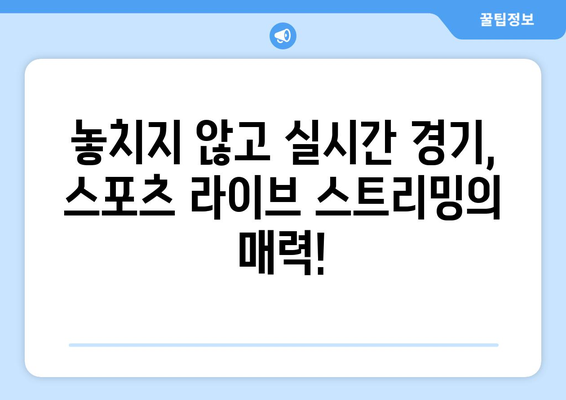 스포츠 실시간 라이브 스트리밍의 모든 것