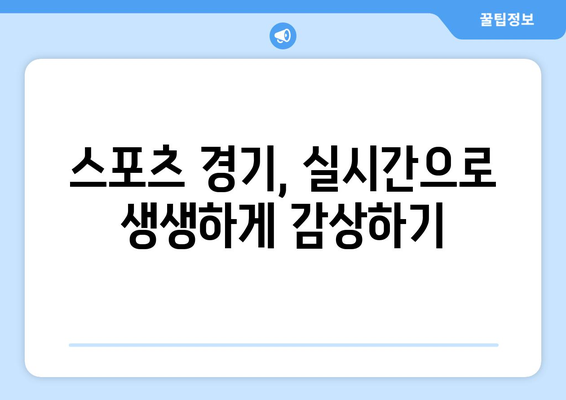 실시간 스포츠 무료 중계로 경기 놓치지 않기