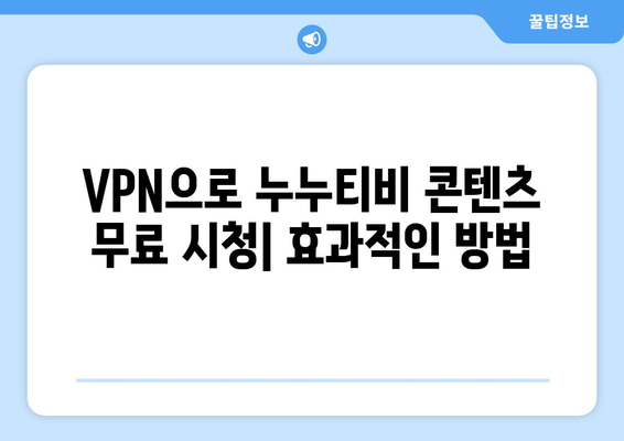 넷플릭스 VPN 누누티비, 최고의 우회 방법은?