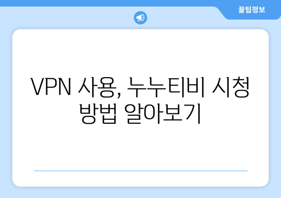 누누티비 우회접속, VPN 사용 가이드