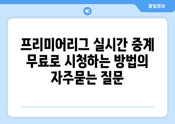 프리미어리그 실시간 중계 무료로 시청하는 방법