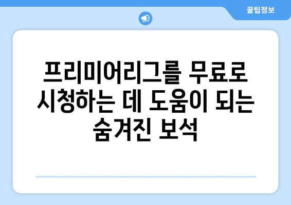 프리미어리그 실시간 중계: 무료로 안전하게 시청하는 방법