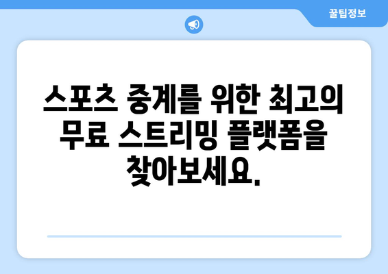 스포츠 실시간 무료 중계: 믿을 수 있는 스트리밍 플랫폼