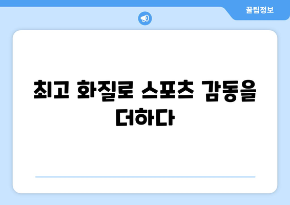 고화질 스포츠 중계, 끊김 없이 보는 방법