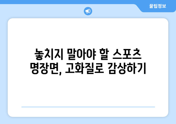 고화질로 보는 스포츠 실시간 중계 서비스 추천