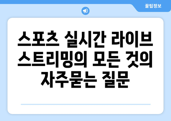 스포츠 실시간 라이브 스트리밍의 모든 것