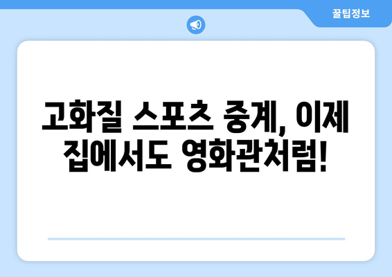 고화질 스포츠 중계 시청 가능한 플랫폼 추천