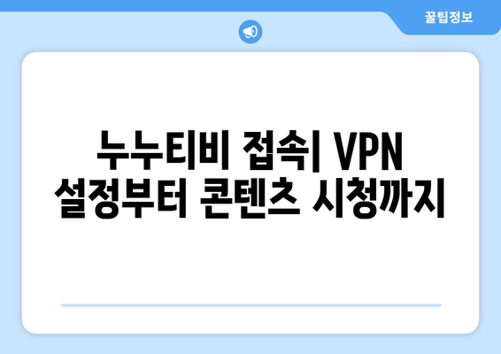 넷플릭스 VPN 누누티비로 안전하게 우회하는 방법