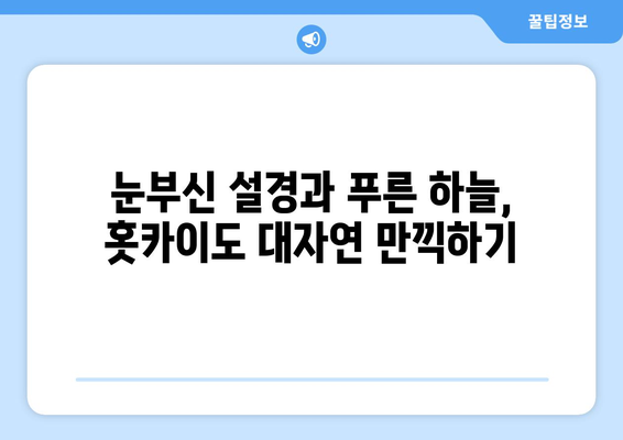 훗카이도 여행 팁, 자연과 함께하는 힐링 여행지