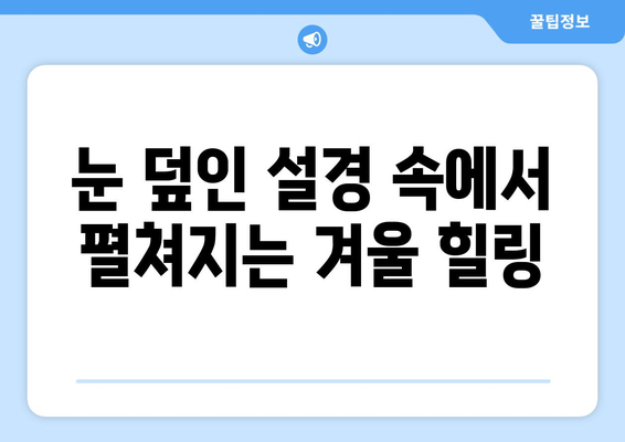 훗카이도 여행, 자연 속에서 진정한 힐링을 경험하는 법