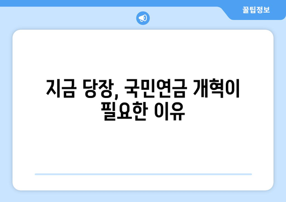 국민연금 개혁의 필요성: 인구 고령화와 재정 안정성