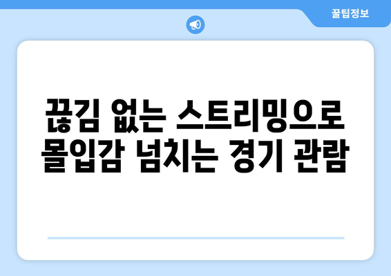 스포츠 실시간 고화질 중계 추천 사이트