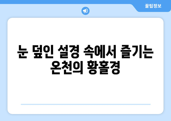 훗카이도 료칸 추천, 전통적인 일본식 온천 숙소 소개