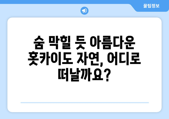 훗카이도 여행 팁, 자연 속에서 느끼는 힐링의 순간