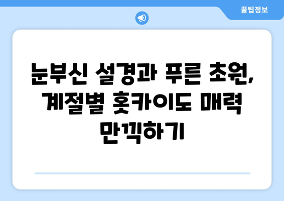 훗카이도 여행 팁, 자연 속에서 느끼는 힐링의 순간