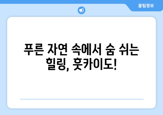 훗카이도 여행 정보, 자연 속에서 힐링하는 법