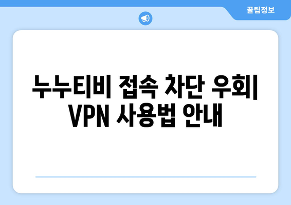 넷플릭스 VPN 누누티비 사용법, 간편하게 우회하는 법