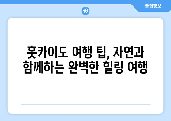 훗카이도 여행 팁, 자연과 함께하는 완벽한 힐링 여행