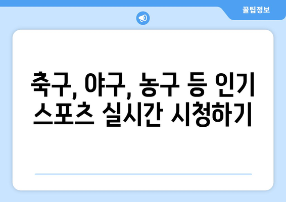 스포츠 실시간 라이브 시청: 최고의 무료 플랫폼 추천