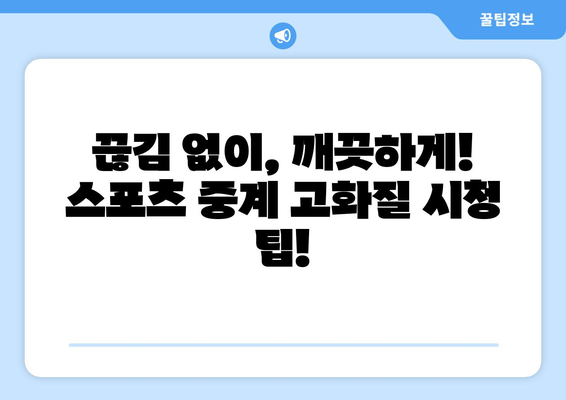 고화질로 즐기는 스포츠 실시간 중계 방법