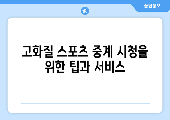 고화질 스포츠 중계 시청을 위한 팁과 서비스