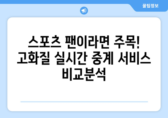 고화질로 보는 스포츠 실시간 중계 서비스 추천