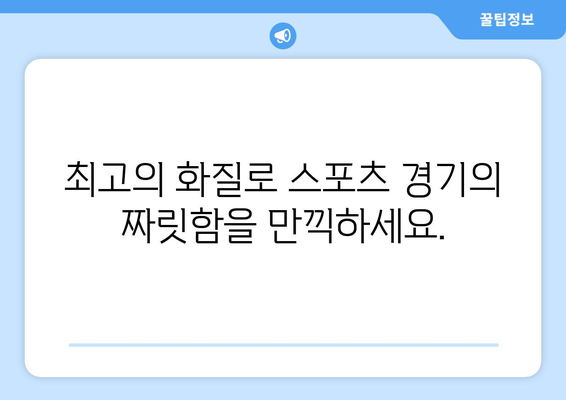 고화질 스포츠 중계, 끊김 없이 즐기는 방법