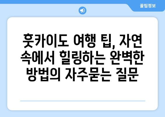 훗카이도 여행 팁, 자연 속에서 힐링하는 완벽한 방법