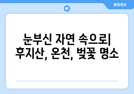 일본 여행 추천, 필수 여행지부터 숨은 명소까지