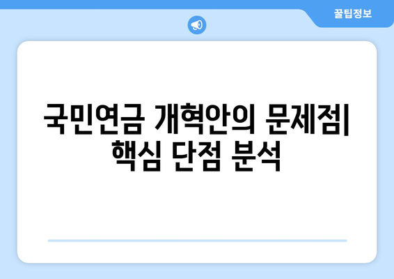 연금개혁안 문제점: 국민연금 개혁안의 주요 단점