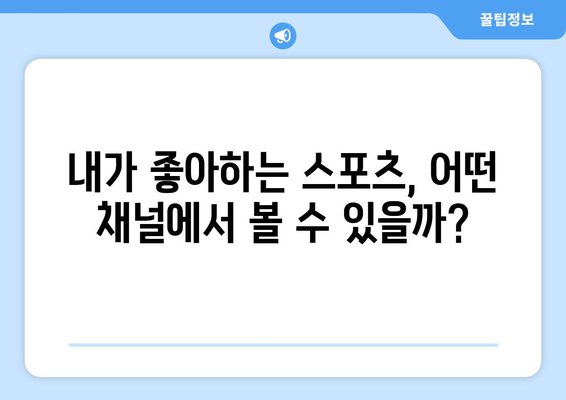 스포츠 실시간 티비 시청 가이드: 어디서 어떻게 보나?