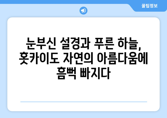 훗카이도 여행 가이드, 자연과 함께하는 완벽한 힐링 여행