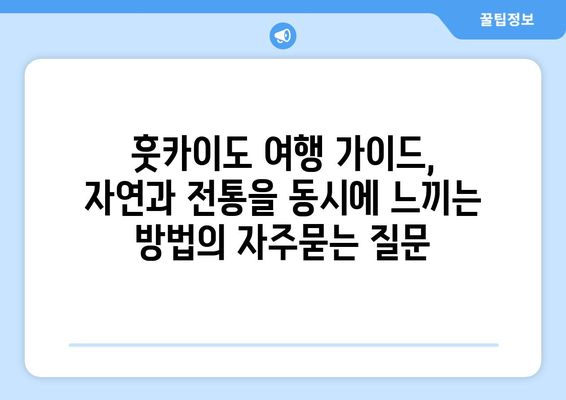 훗카이도 여행 가이드, 자연과 전통을 동시에 느끼는 방법