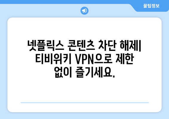 넷플릭스 VPN 티비위키와 함께 콘텐츠 차단 해제하기