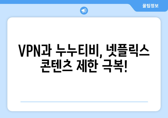 넷플릭스 VPN 누누티비와 함께 안전하게 콘텐츠 즐기기