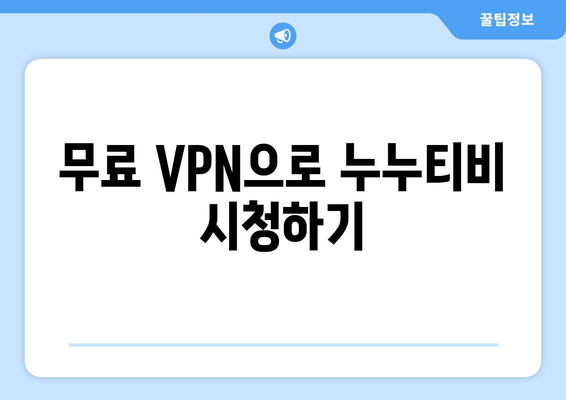 넷플릭스 VPN 누누티비, 무료로 안전하게 우회하는 법