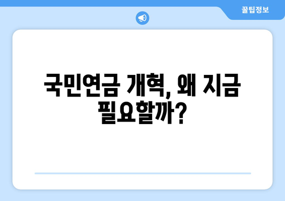 연금개혁안 문제점: 국민연금 개혁안의 한계와 개선 방안 제시