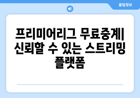 프리미어리그 무료중계: 신뢰할 수 있는 스트리밍 플랫폼