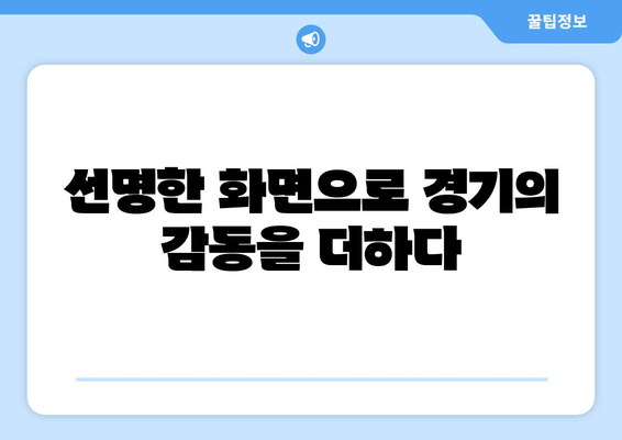 고화질 스포츠 중계 시청을 위한 팁과 추천