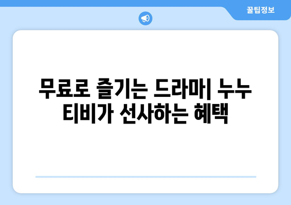 영화 다시보기 사이트와 누누 티비 비교: 드라마 누누 티비의 장점