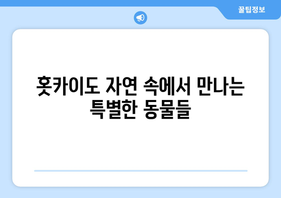 훗카이도 여행 정보, 자연 속에서 힐링할 수 있는 코스