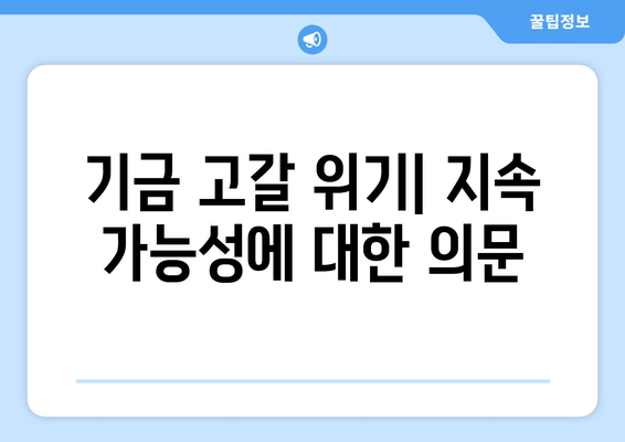 연금개혁안 문제점: 국민연금 개혁안의 주요 논란