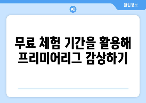 프리미어리그 무료 중계: 합법적인 시청 방법