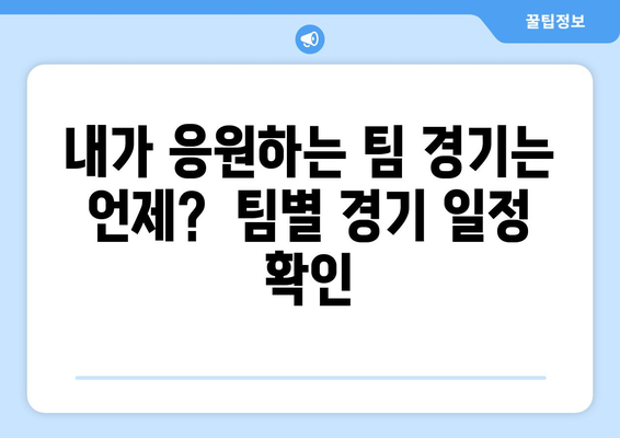 실시간 야구 생중계 시청 가이드: 일정과 채널 정보