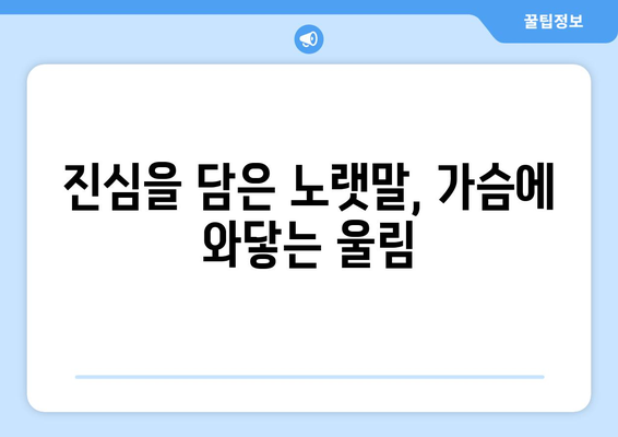 임영웅의 노래가 사랑받는 이유 10가지