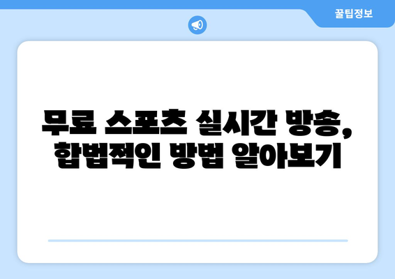 스포츠 실시간 티비 무료 시청: 추천 채널과 방법