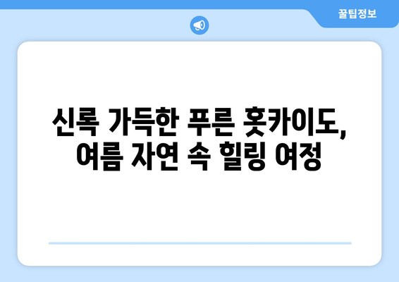 훗카이도 여행 가이드, 자연과 함께하는 추천 일정