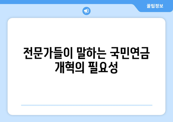 국민연금 개혁의 배경과 추진 이유: 전문가 의견